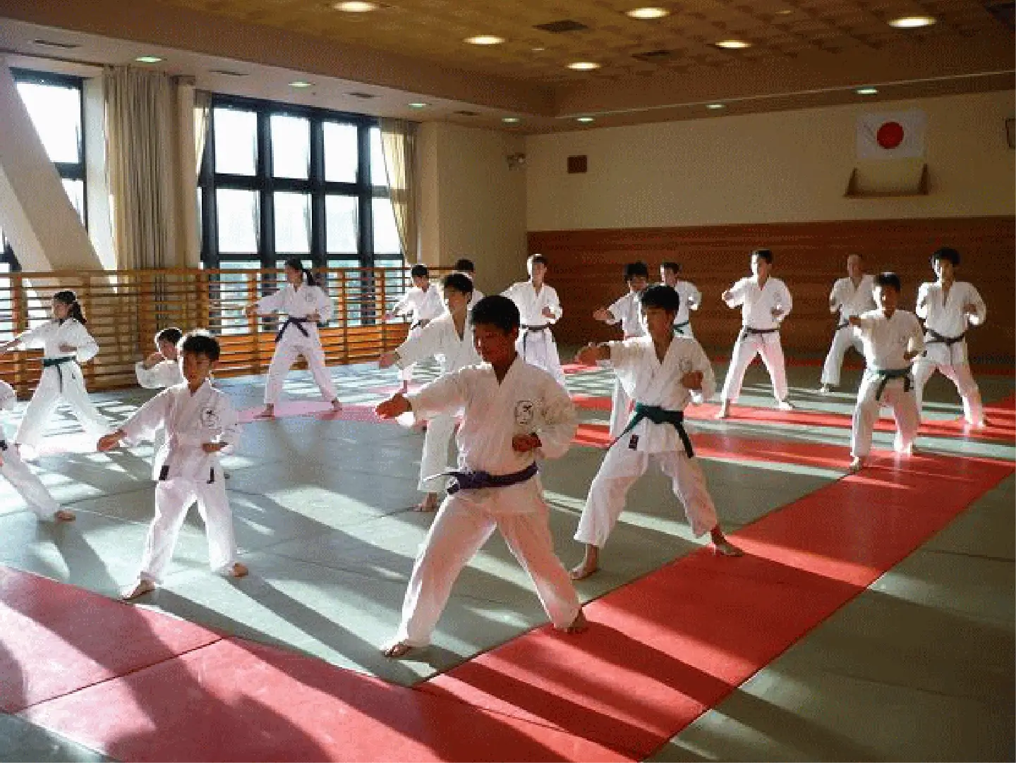 wadouryuukarate3